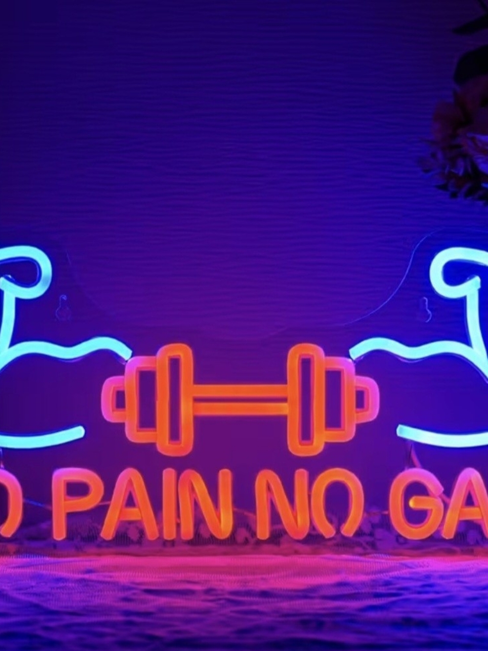 No Pain No Gain LED Neon Sign USB Powered Dimmable 42cm Blue/Red 5V